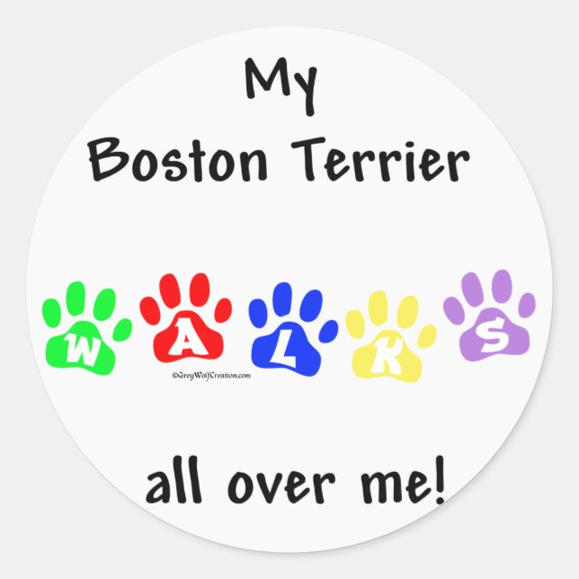 Boston Terrier Walks All Over Me Classic Round Sticker (Front)