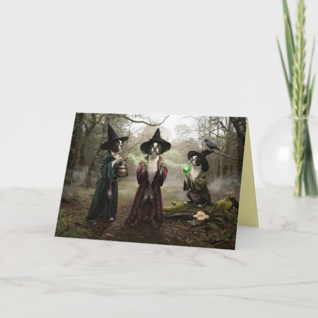 Boston Terrier Witch Halloween Card (Front)