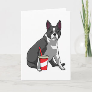 Boston Terrier with Drink Card