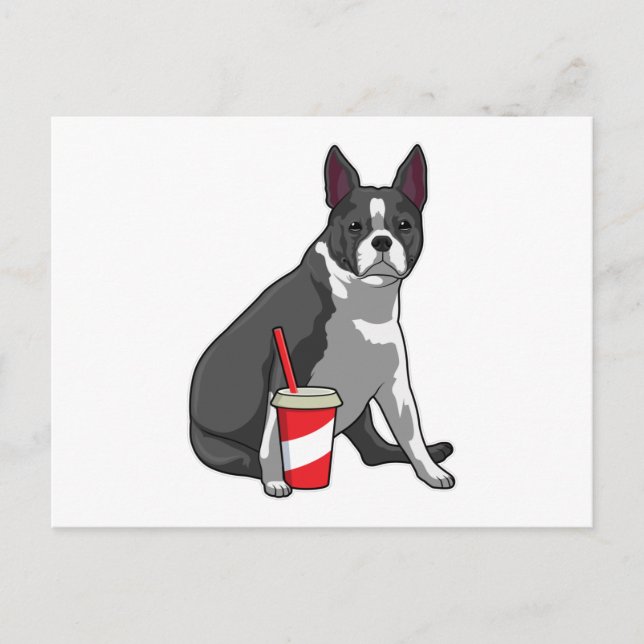 Boston Terrier with Drink Postcard (Front)