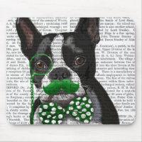 Boston Terrier With Green Moustache And Spotty 2