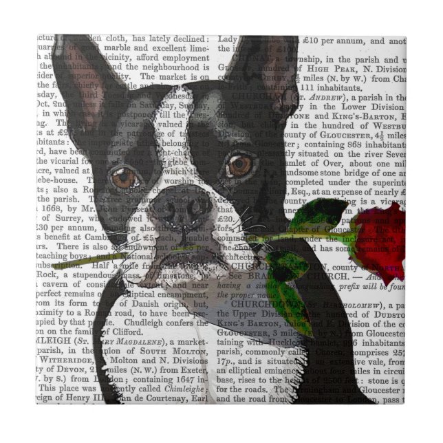 Boston Terrier with Rose in Mouth Ceramic Tile (Front)