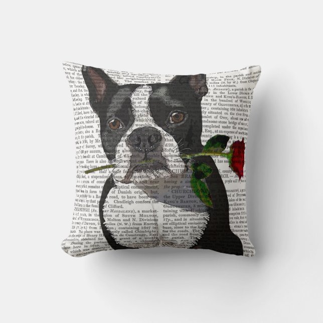 Boston Terrier with Rose in Mouth Cushion (Front)