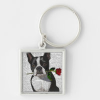 Boston Terrier with Rose in Mouth