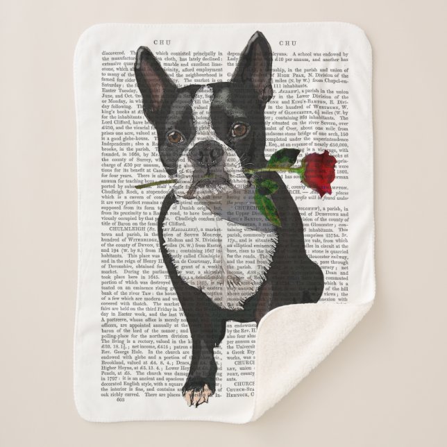 Boston Terrier with Rose in Mouth Sherpa Blanket (Front)