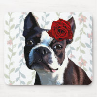 Boston Terrier with Rose on Head 2
