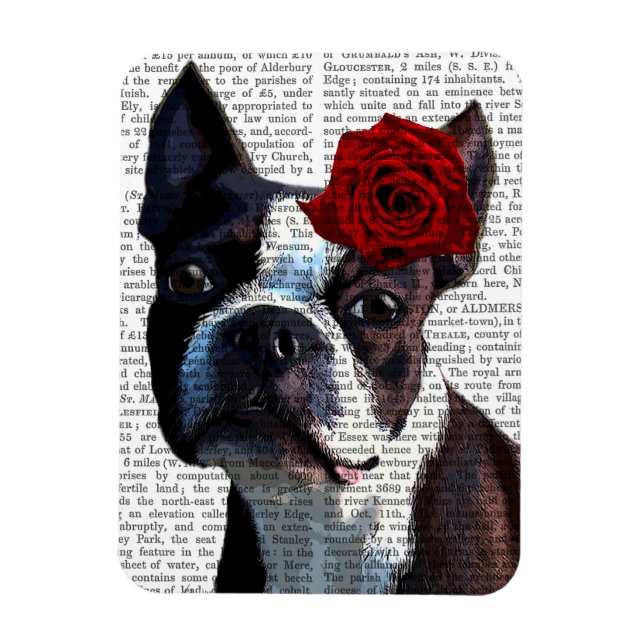 Boston Terrier with Rose on Head Magnet (Vertical)
