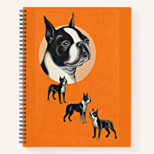 Boston terriers notebook