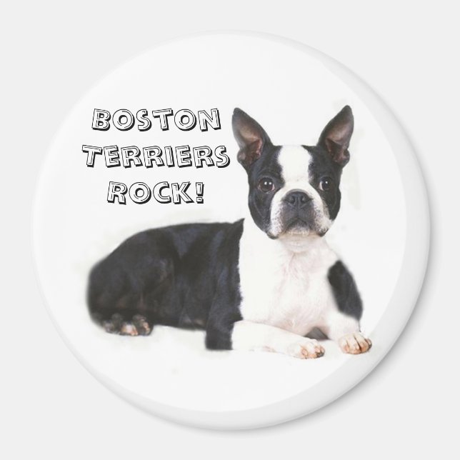 Boston Terriers Rock Magnet (Front)