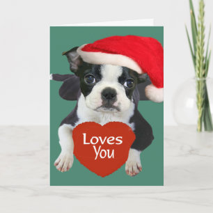Boston Terriers Santa Holiday Card