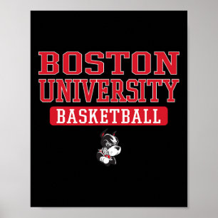 Boston Terriers Vintage Team Sketll - Neutral Bost Poster