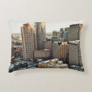 Boston view decorative cushion