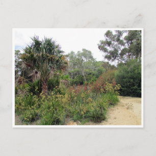 botanic gardens canberra postcard