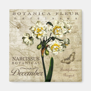 Botanica December Magnet
