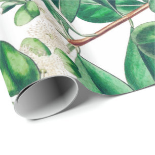 Botanica Wrapping Paper