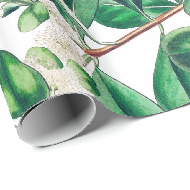 Botanica Wrapping Paper (Roll Corner)