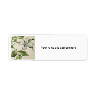 Botanical address lebels return address label