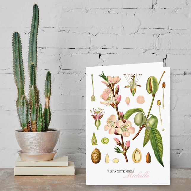 Botanical Almond Blossoms Monogram Blank Note Card (Creator Uploaded)
