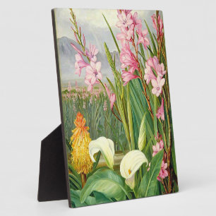 Botanical art: Beauties of the Swamp Plaque
