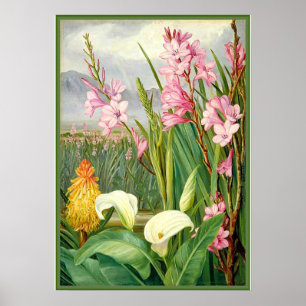 Botanical art: Beauties of the Swamp Poster
