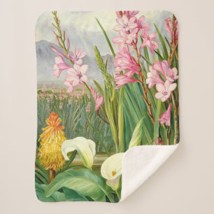 Botanical art: Beauties of the Swamp Sherpa Blanket