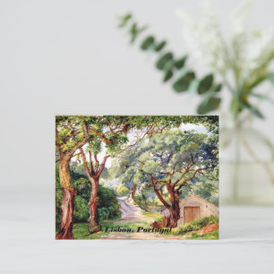 Botanical art: Cork Trees at Cintra near Lisbon Postcard