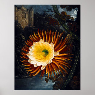 Botanical Art Temple Of Flora Night Blowing Cereus Poster