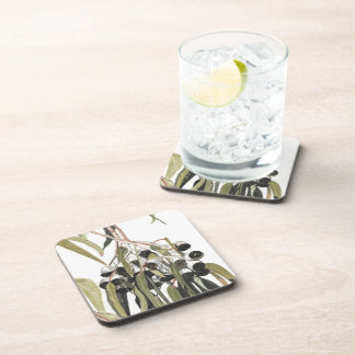 Botanical Australian Gumnuts Watercolor Coaster