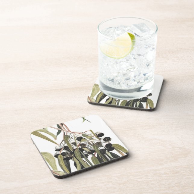 Botanical Australian Gumnuts Watercolor Coaster (Right Side)