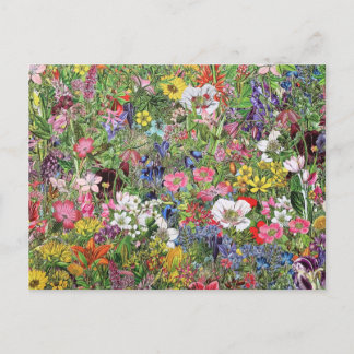 Botanical Bloom Nature Wildflower Holiday Postcard