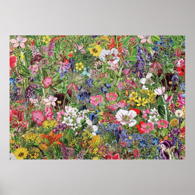 Botanical Bloom Nature Wildflower Poster (Front)