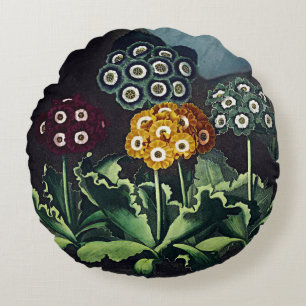Botanical Blooms Auriculas Cushions