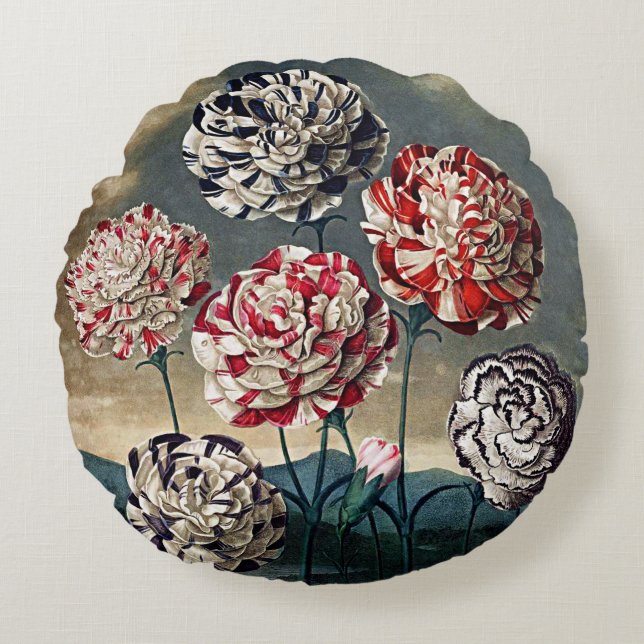 Botanical Blooms Carnations Cushions (Front)