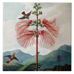 Botanical Blooms Flowering Sensitive Plant Ceramic Tile