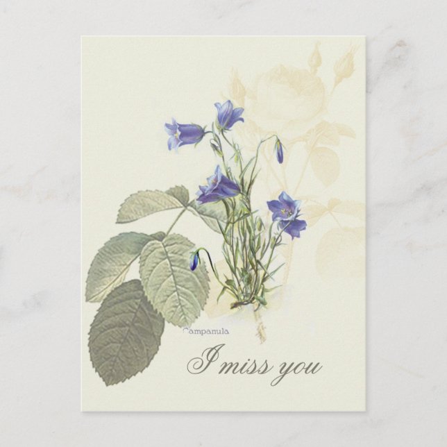 Botanical Blue Campanula 1 Postcard (Front)