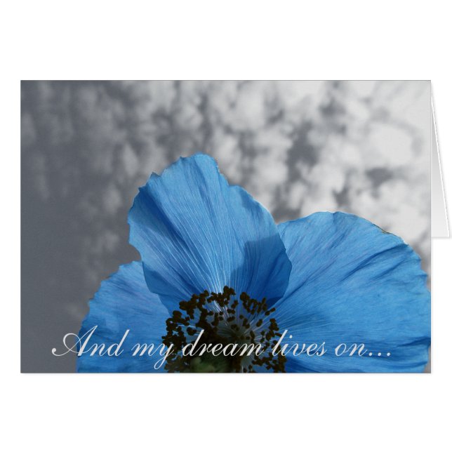 Botanical Blue Poppy My Dream Lives On (Front Horizontal)
