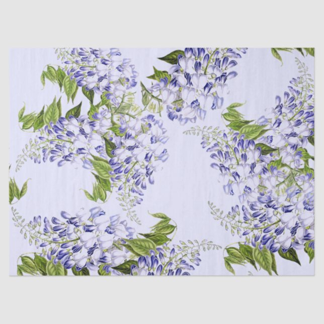 Botanical Blue Wisteria Flower Floral Tissue Paper (Front)