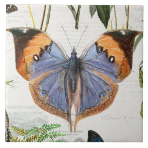 Botanical Butterfly Flower Garden Floral Vintage Ceramic Tile