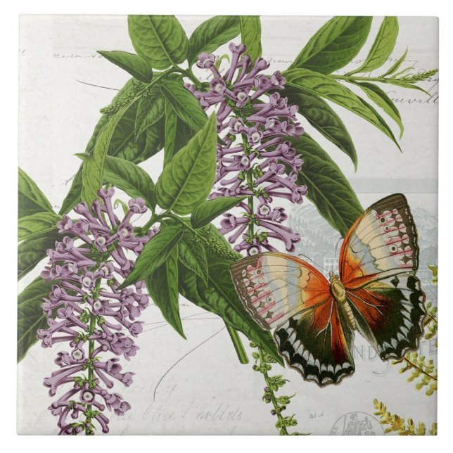 Botanical Butterfly Purple Wisteria Vintage 1 Ceramic Tile (Front)