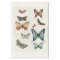 Botanical Butterfly Vintage Blue Peach Decoupage