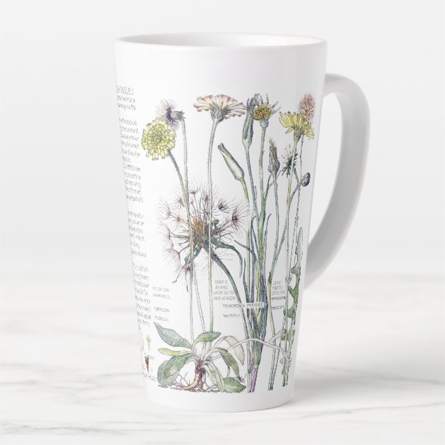 Botanical Cats Ear Wildflower Flowers Latte Mug (Right Angle)