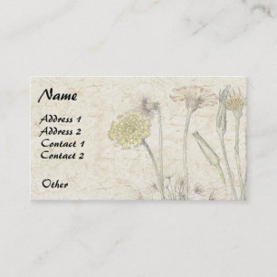 Botanical Catsear Wildflower Flower Business Cards