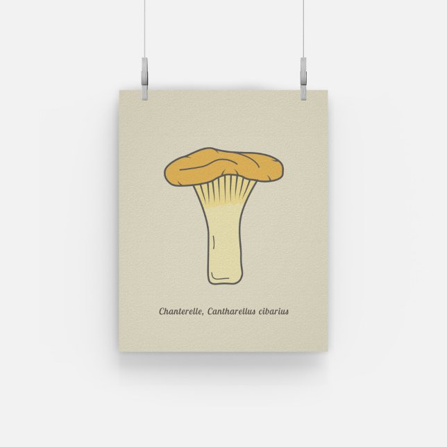 Botanical Chanterelle Mushroom Poster (Botanical Chanterelle Mushroom Poster)