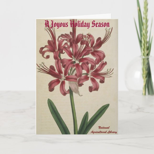 Botanical Christmas Card (Front)