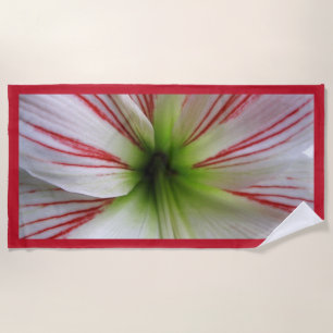 Botanical Close Up Photo Amaryllis Flower Beach Towel