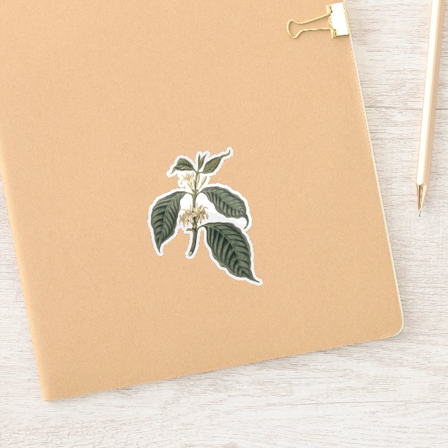 Botanical Coffee Plant Bohemian Elegance Floral  (Notebook)