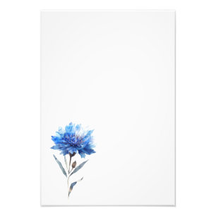 Botanical Cornflower Watercolor Art Print-Stage1 Photo Print