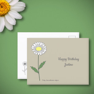 Botanical Daisy Pastel Flower  Postcard