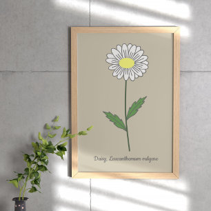 Botanical Daisy Pastel Flower  Poster