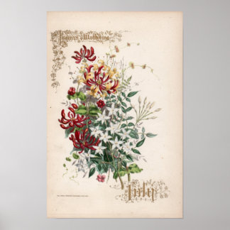 Botanical Engravings, July Poster